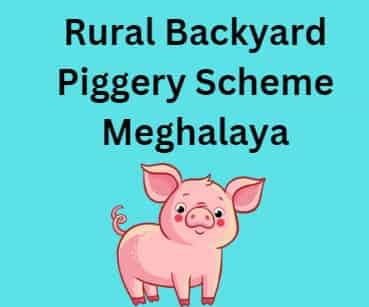 Rural Backyard Piggery Scheme Meghalaya