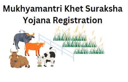 Mukhyamantri Khet Suraksha Yojana Registration