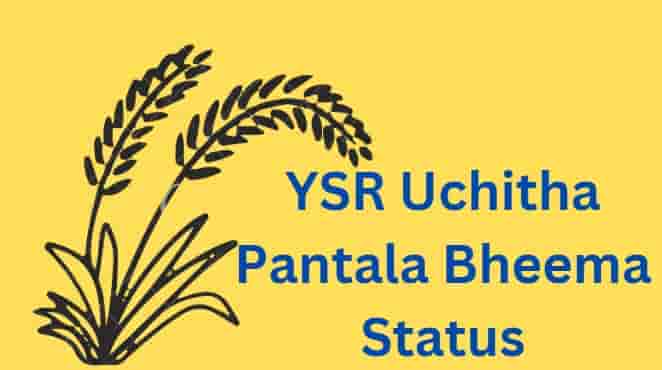 YSR Uchitha Pantala Bheema Status